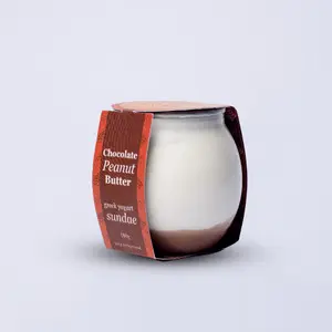 Chocolate Peanut Butter Yogurt - 10222