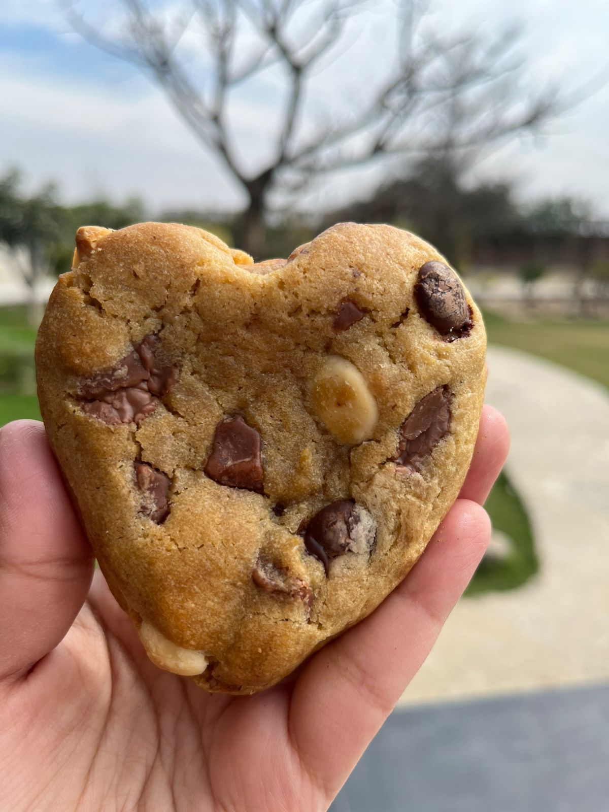 Triple Chocolate Chunk Cookie - 11960