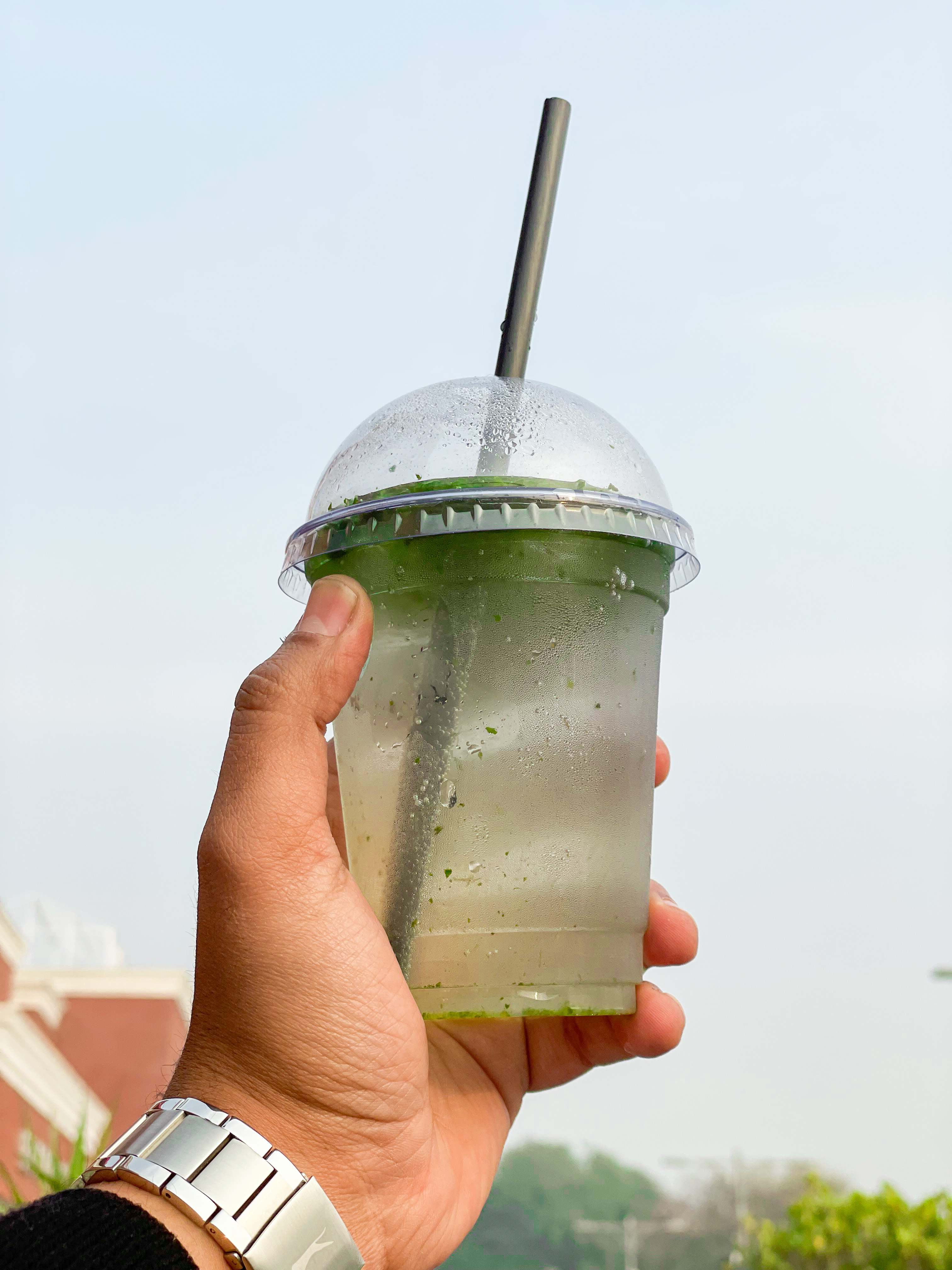 Mint Mojito