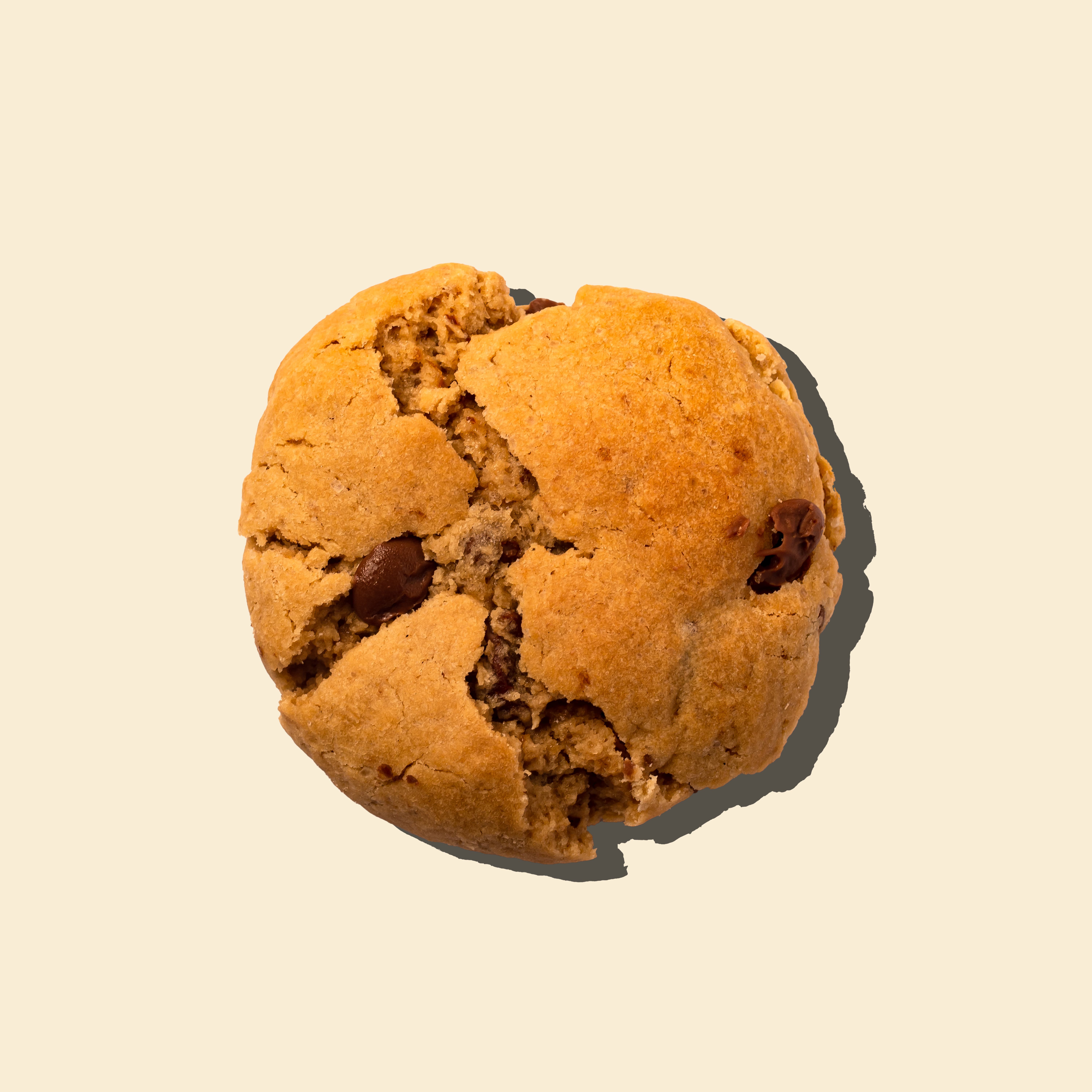 Milk Chocolate Cookie - 10318