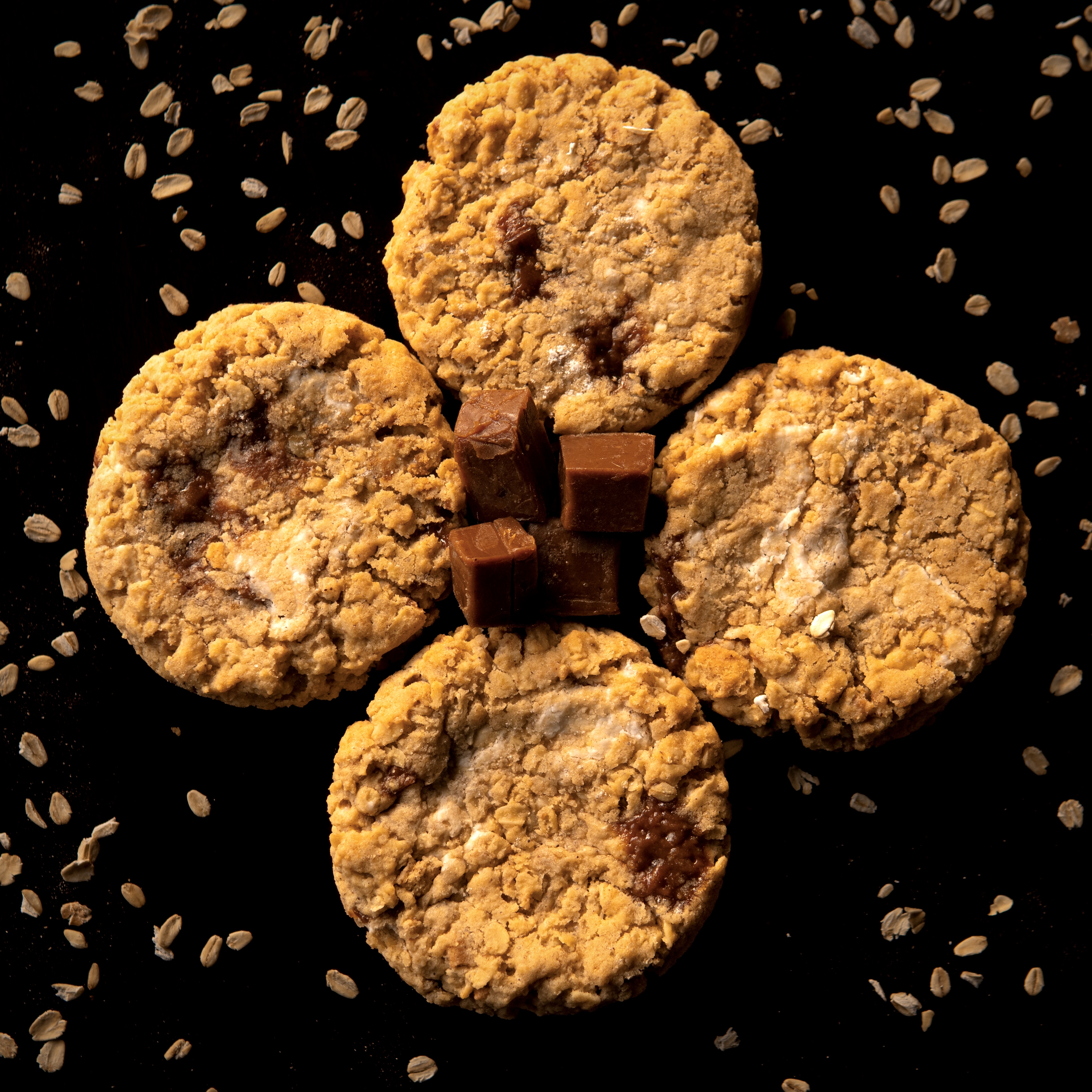 Oatmeal Cookie - 10096