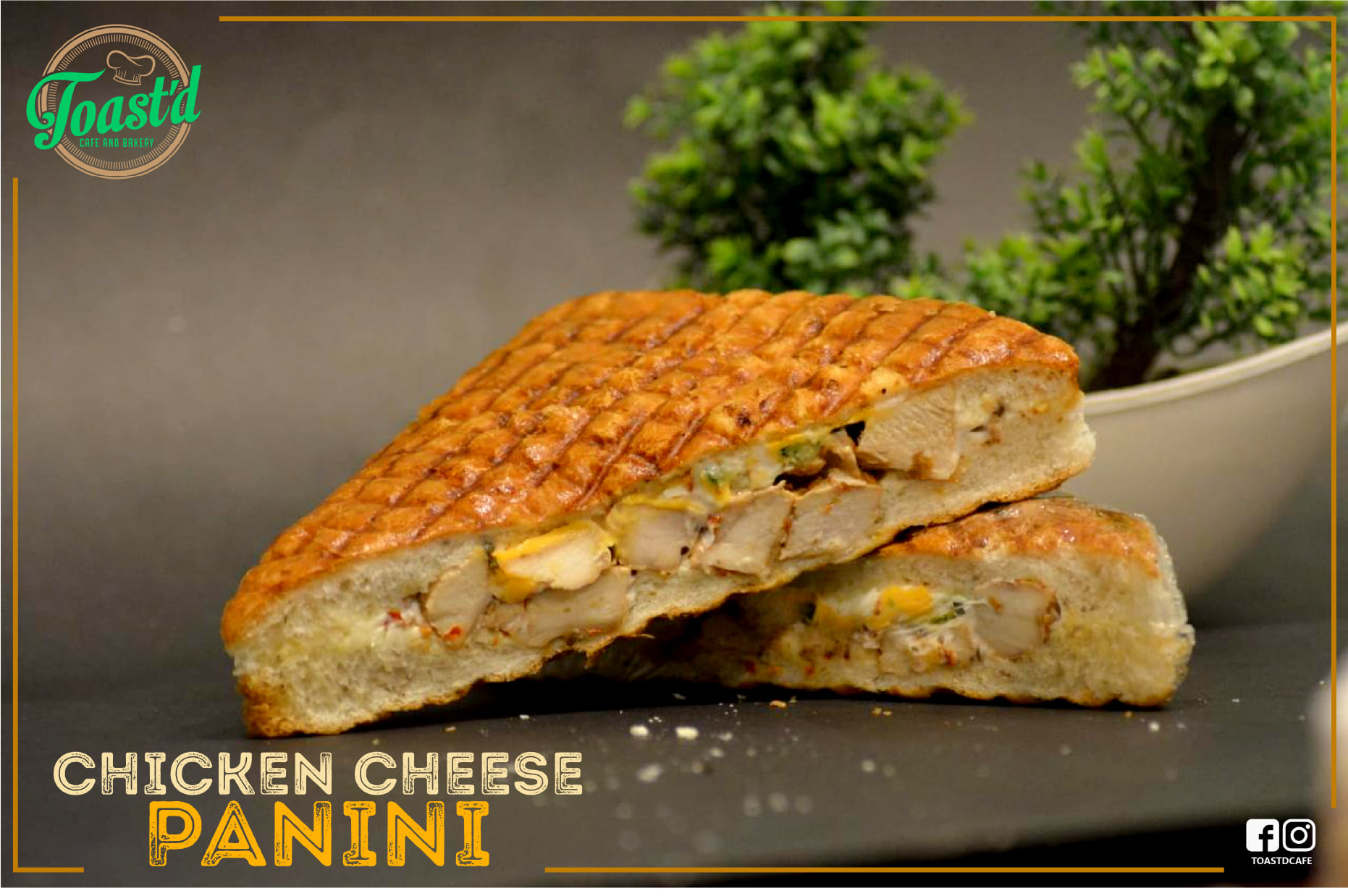 Chicken Cheese Panini