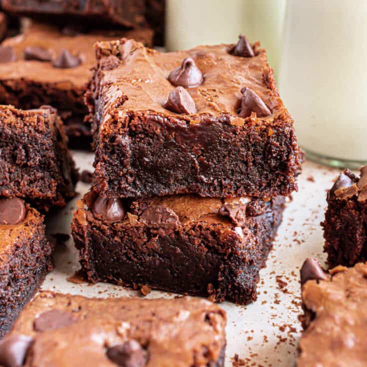 Chocolate Chip Brownie