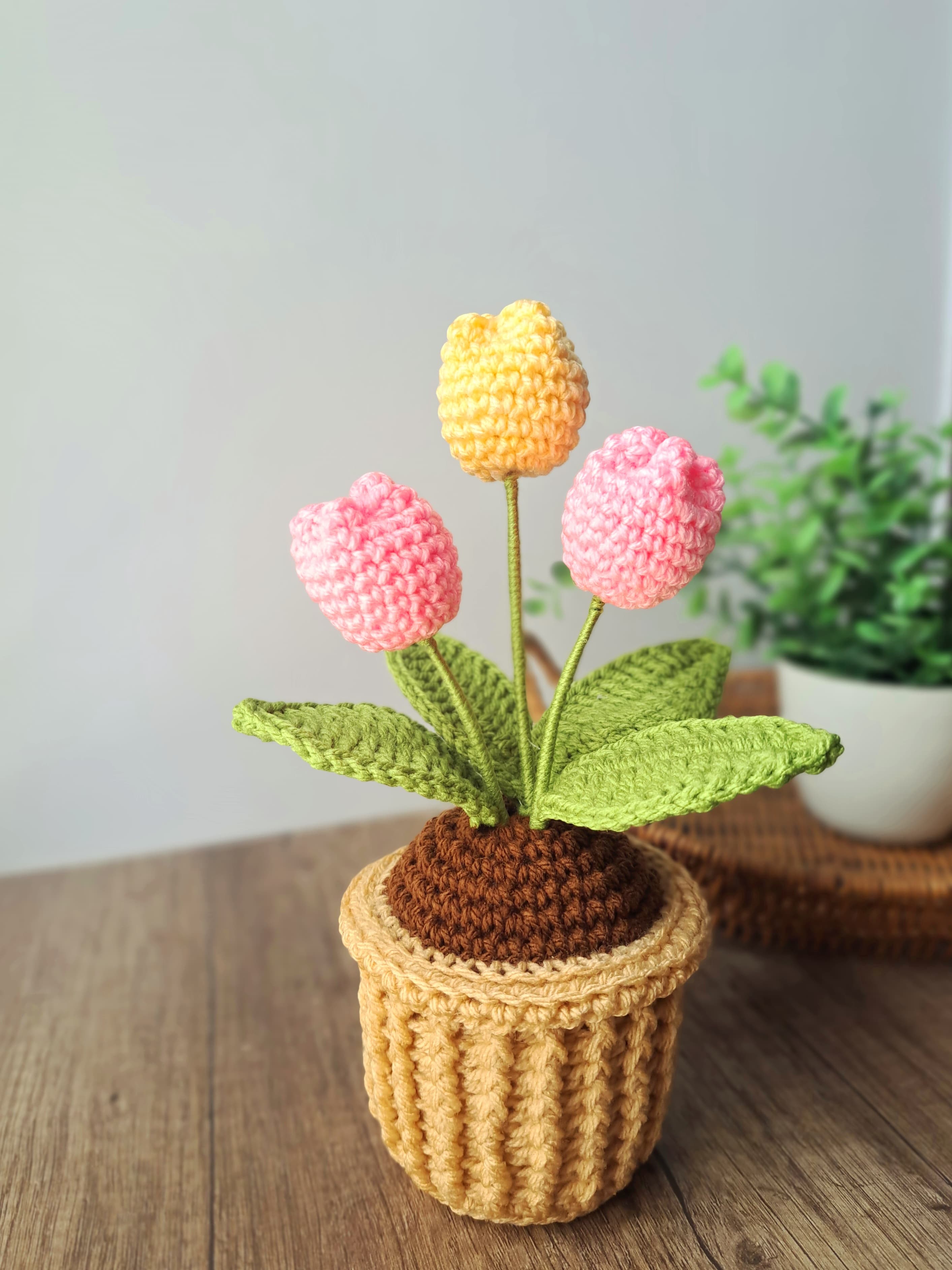 Potted Tulip - 11381