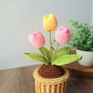 Potted Tulip - 11381