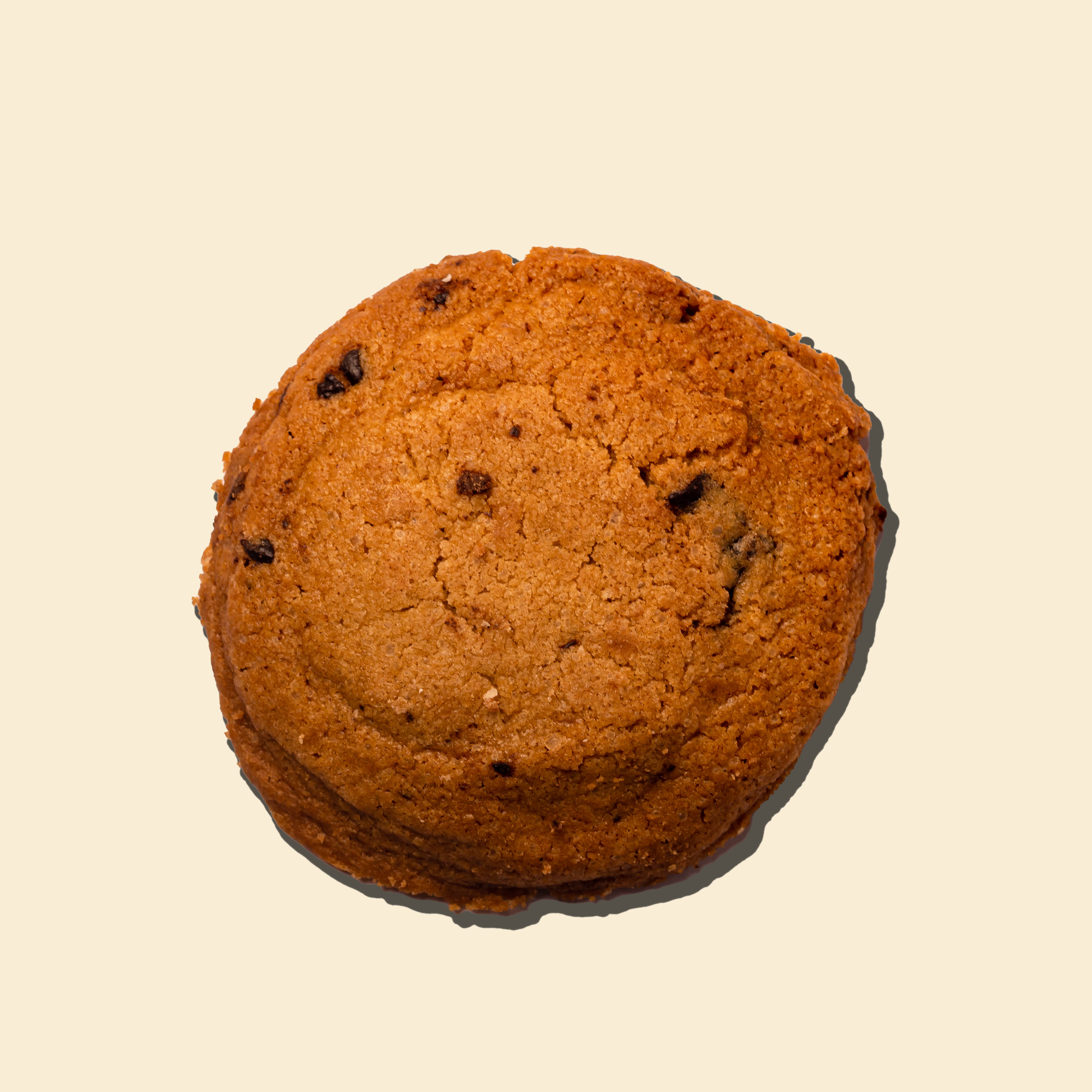 Chocolate Chip Cookie - 10772