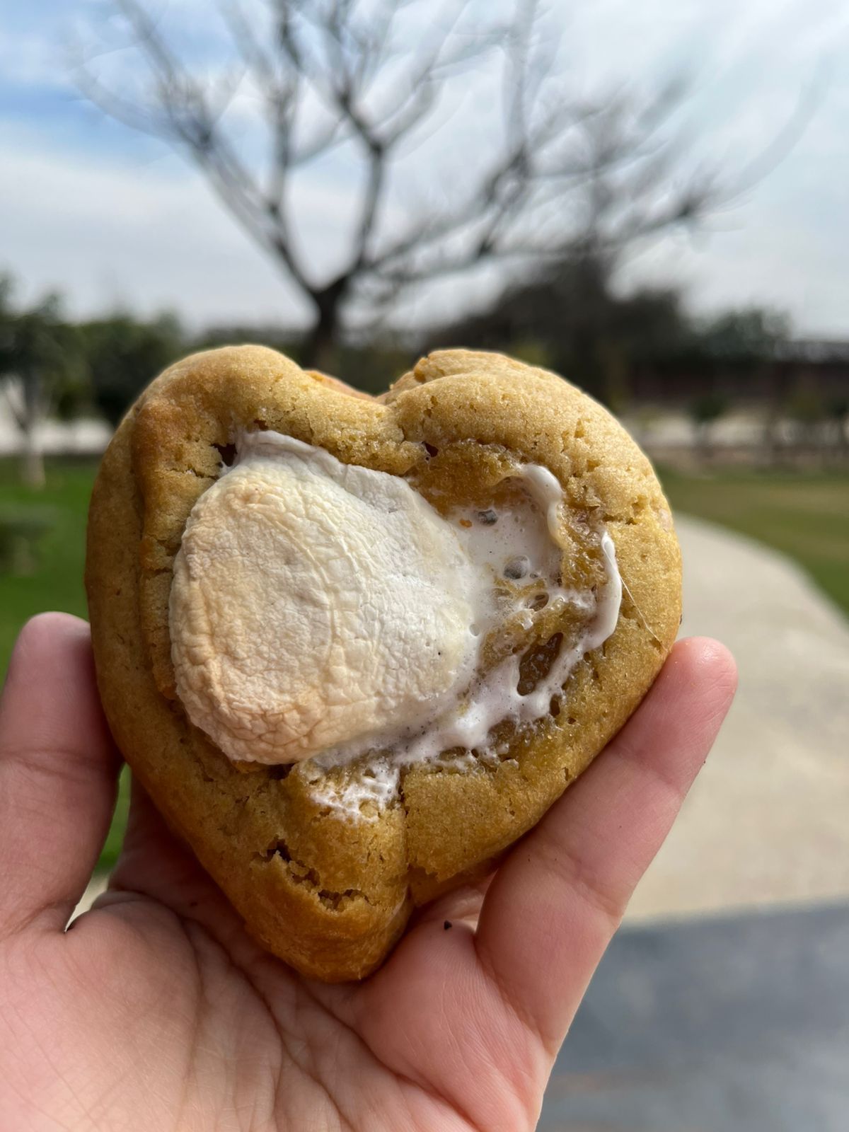 Nutella S'mores Cookies - 11951