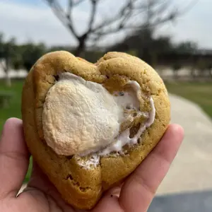 Nutella S'mores Cookies - 11951