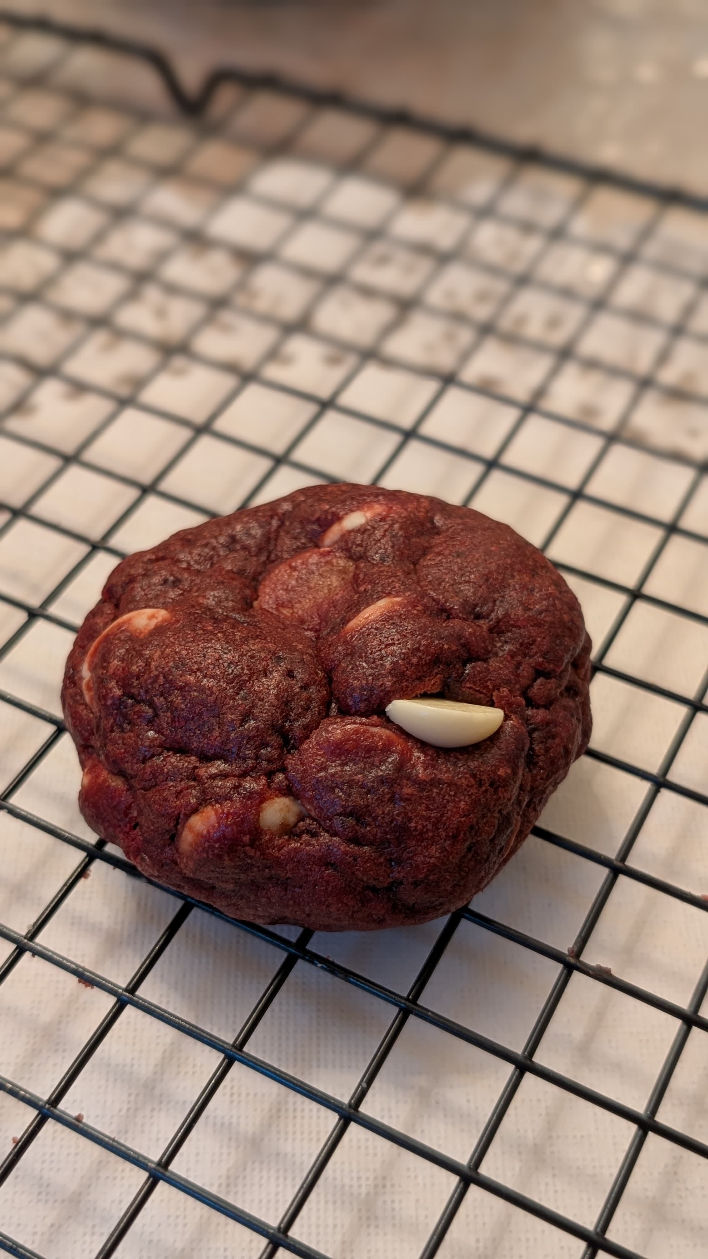 Red Velvet Cookie - 11573