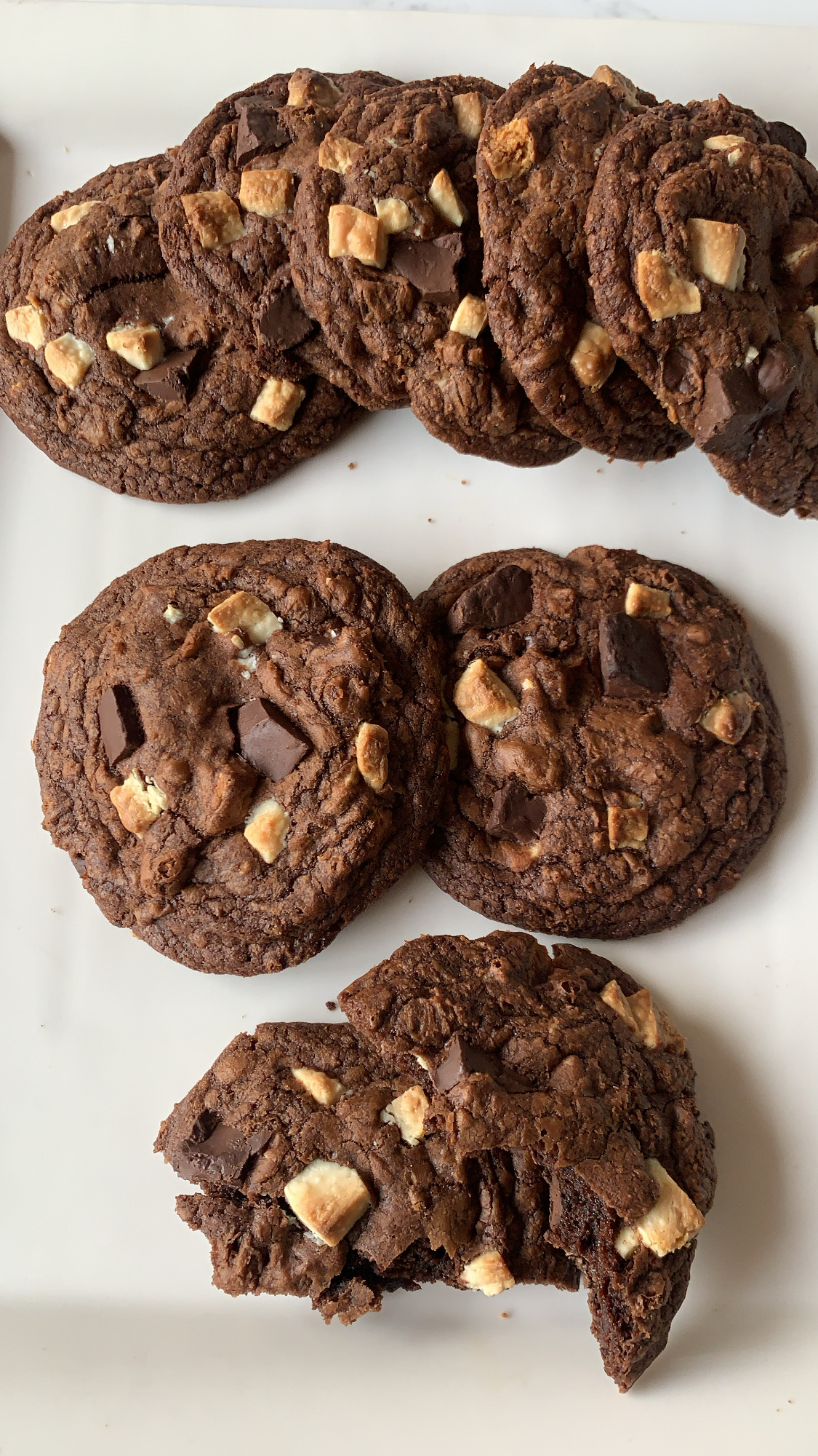 Chocolate Chip Cookie 