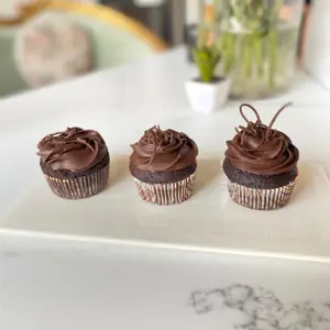 Chocolate Cupcake