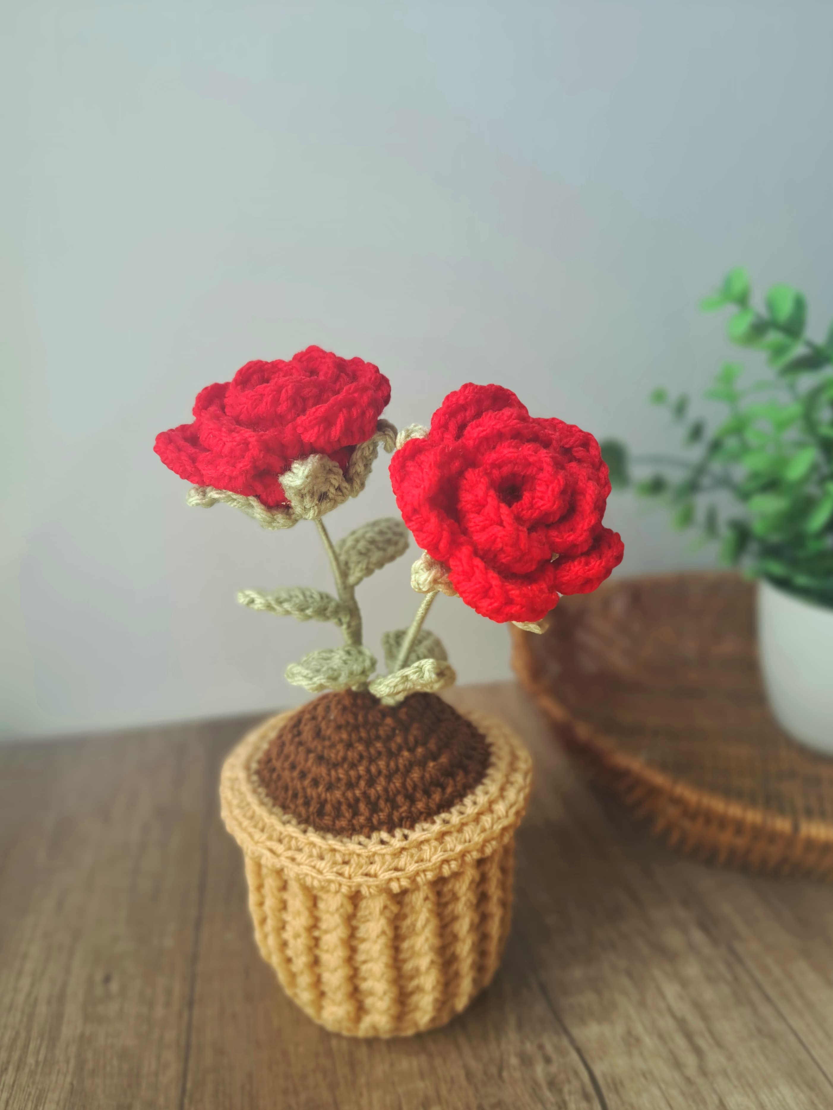 Potted Rose - 11378