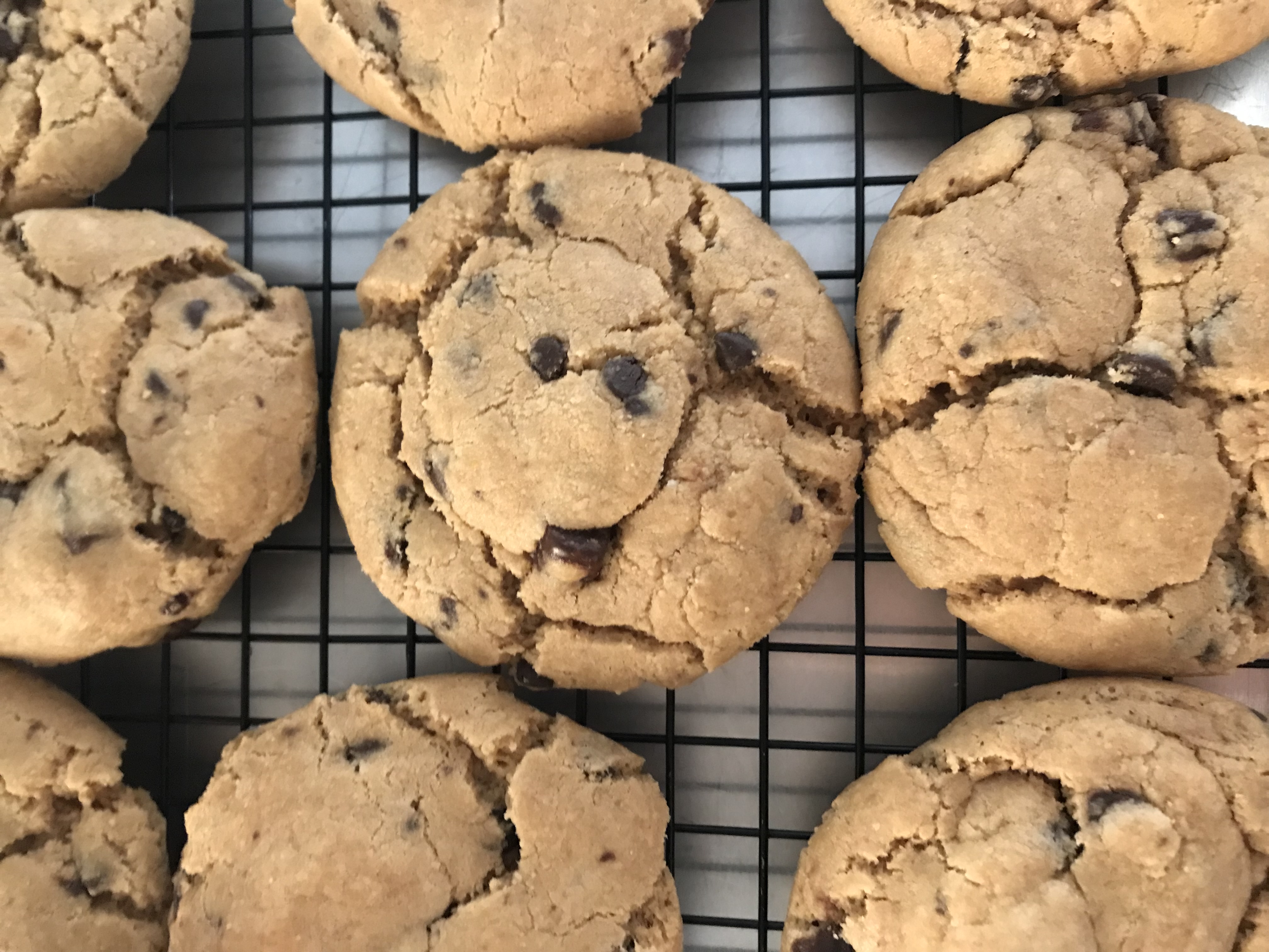 Gluten Free Chocolate chip cookie - 10676