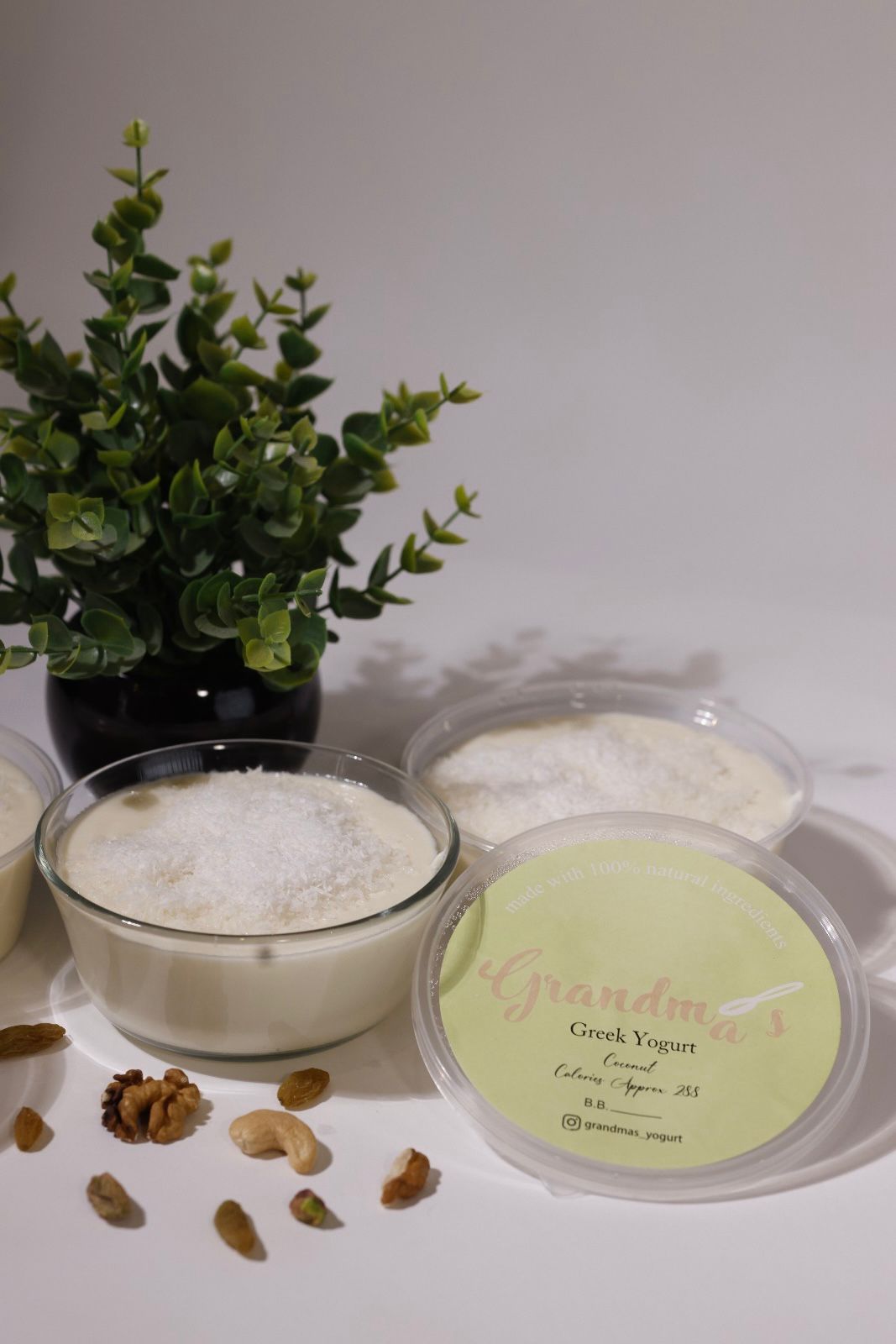 Coconut Greek Yogurt - 11306