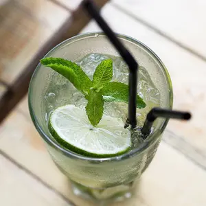 Virgin Mojito