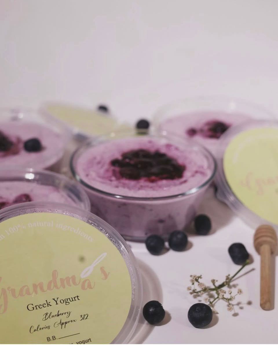 Blueberry Yogurt - 11335