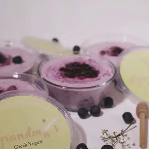 Blueberry Yogurt - 11335