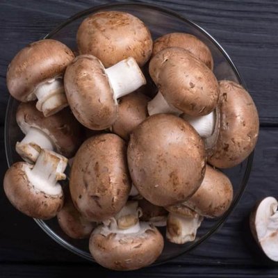 Extra Mushroom