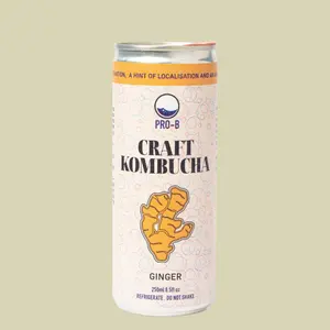 Aqua Kefir Lemon Ginger - 10936