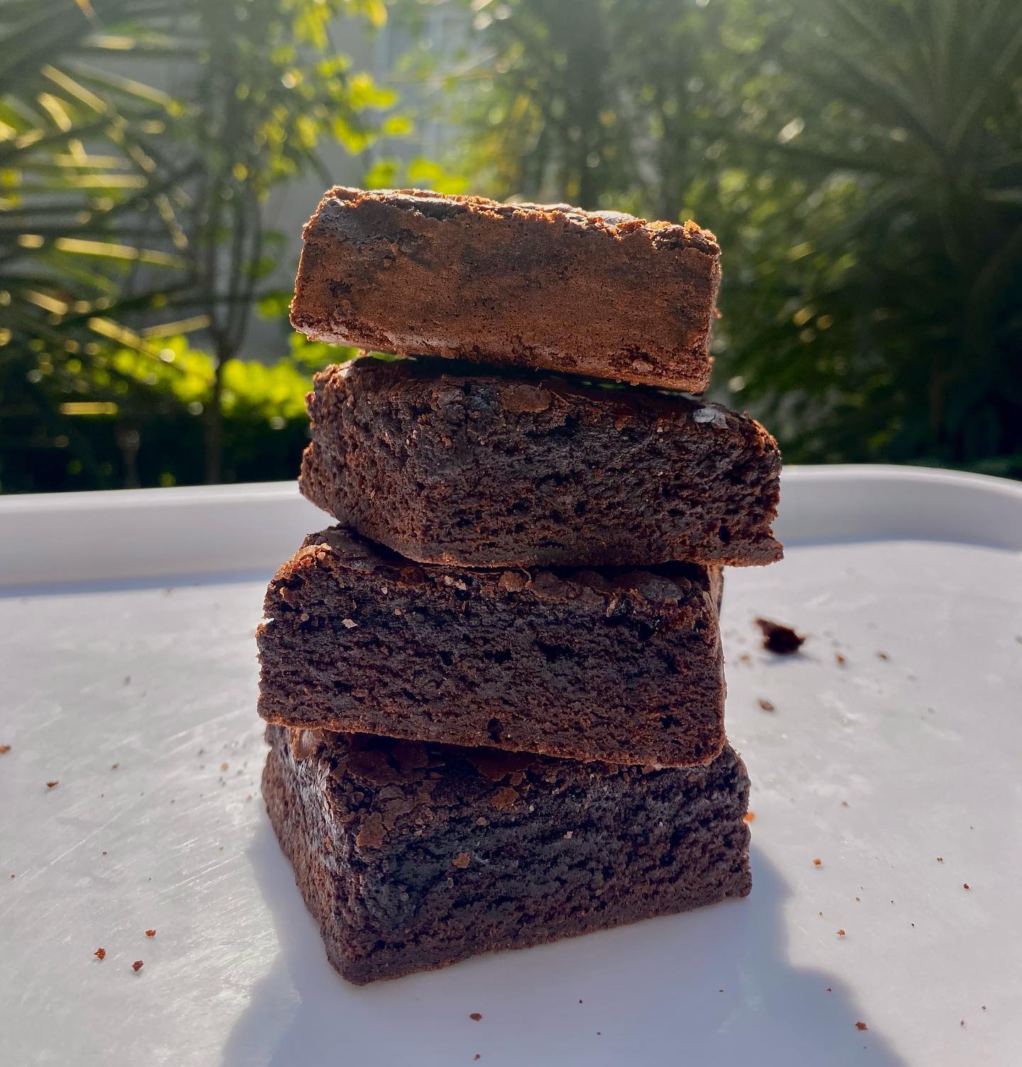 House Special Fudge Brownies