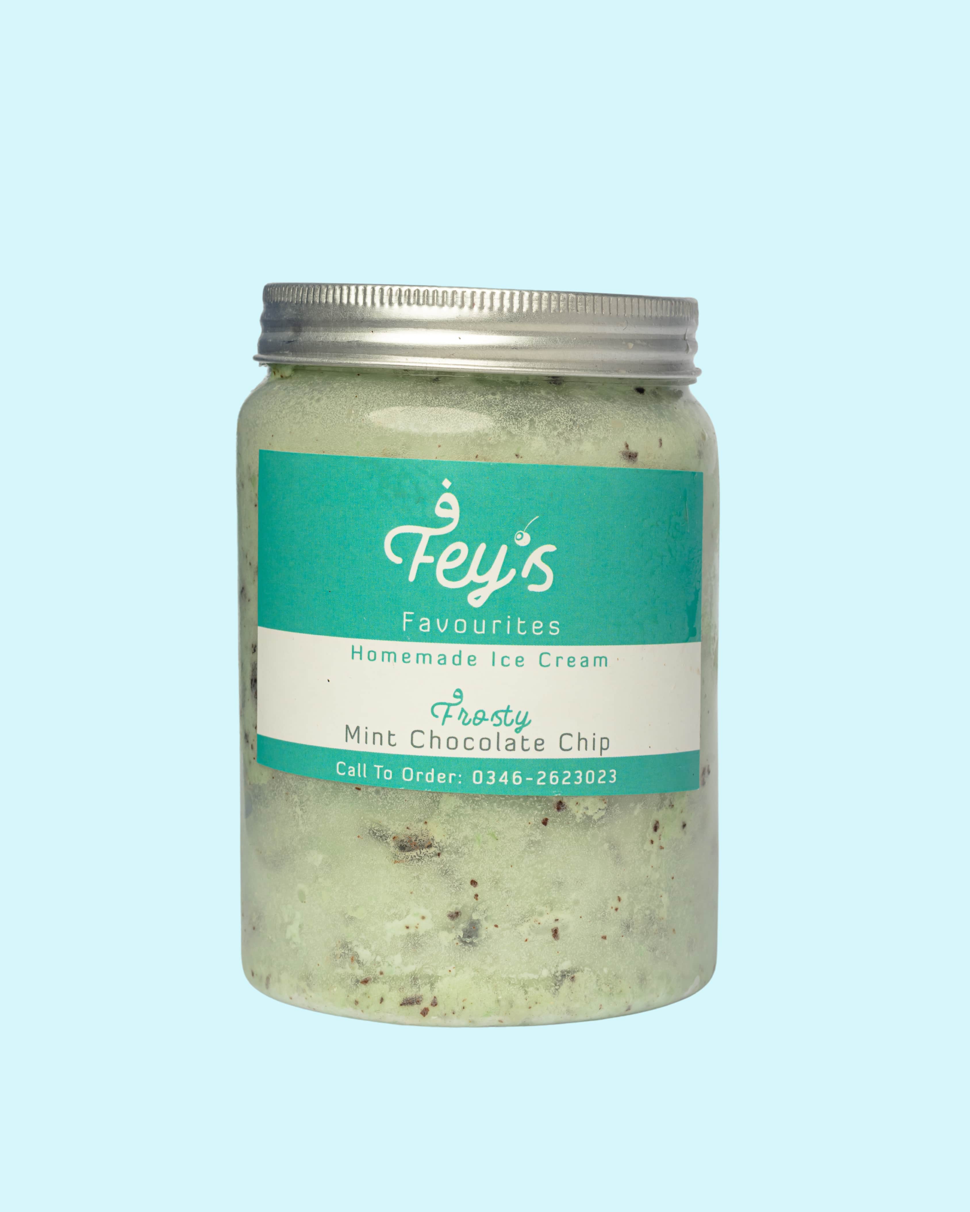 Mint Chocolate Chip Ice Cream - 10429