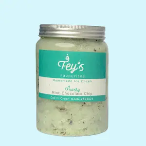 Mint Chocolate Chip Ice Cream - 10429