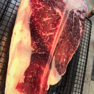 T-bone (Prime)