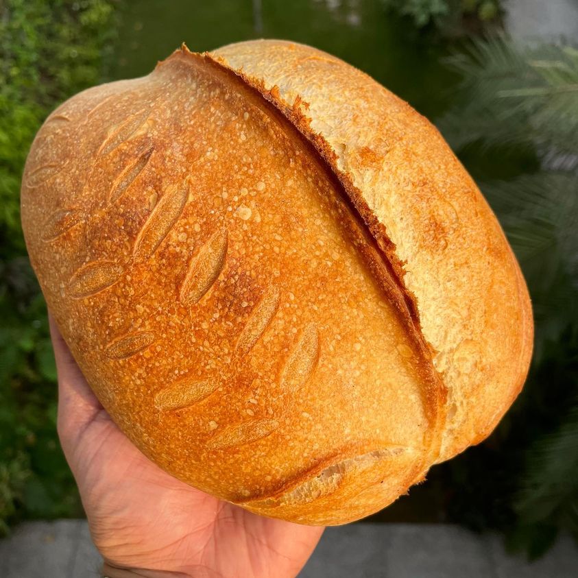 Sourdough 