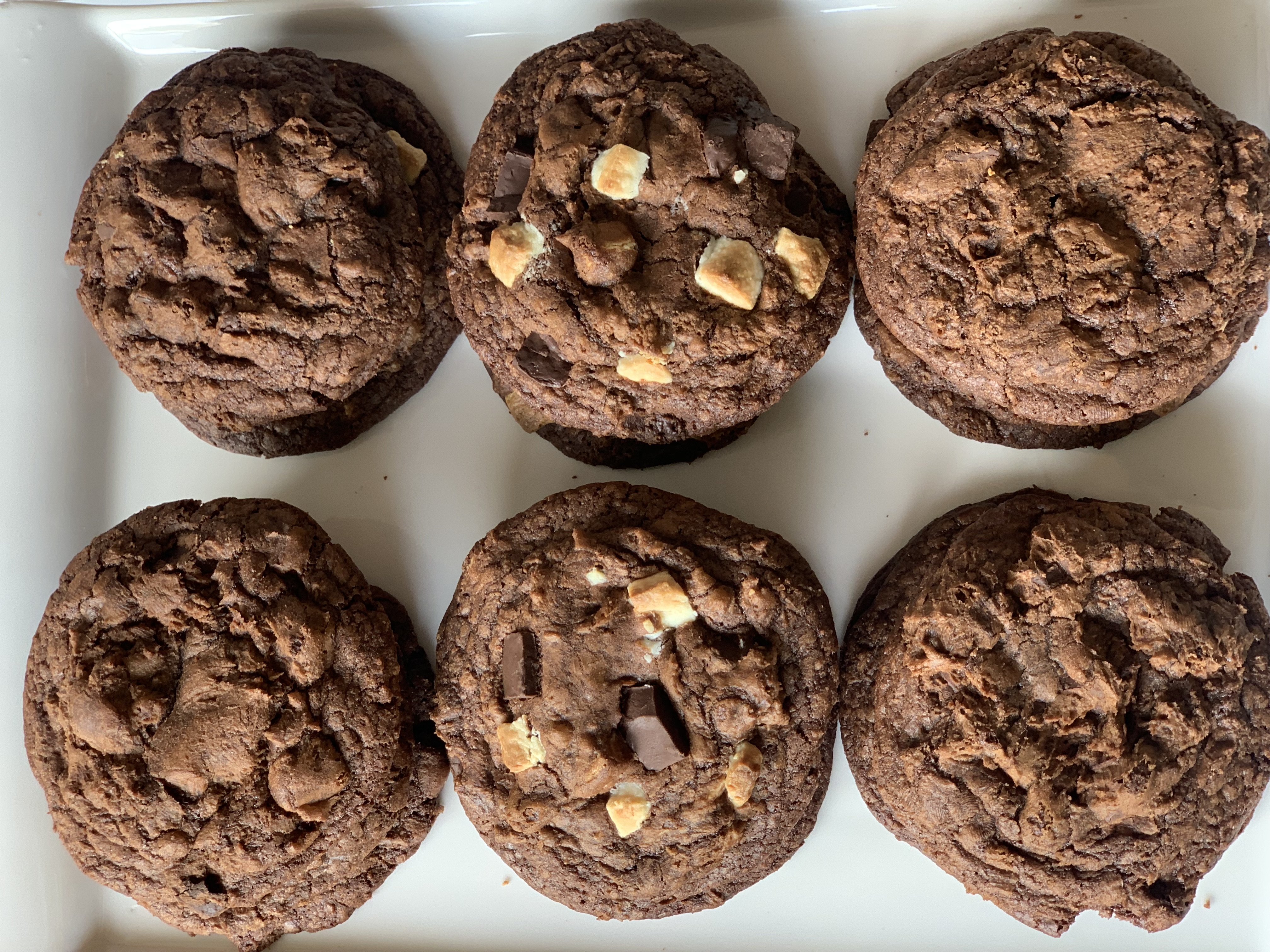 Chocolate Chip Cookie 