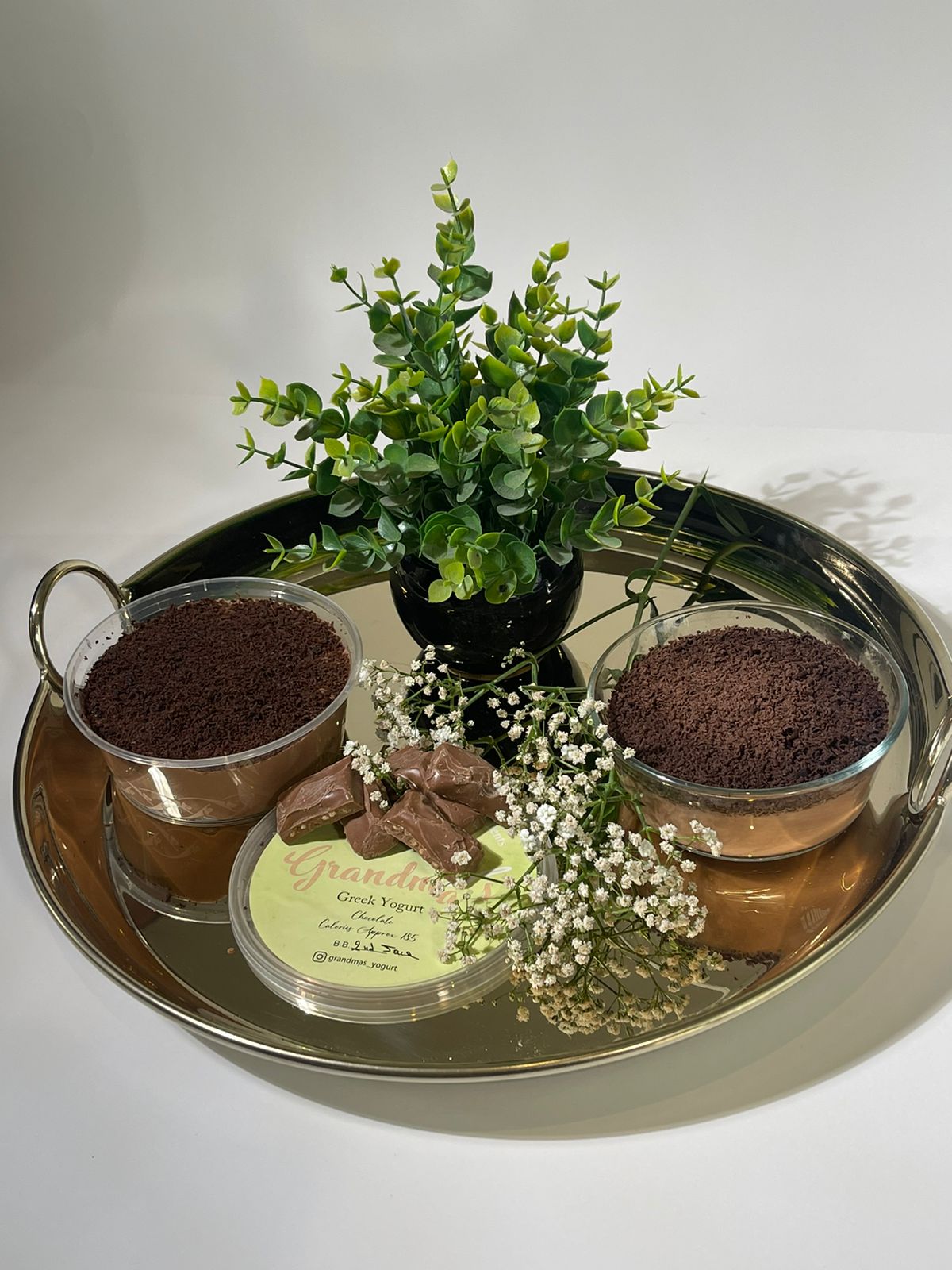 Chocolate Greek Yogurt - 11308