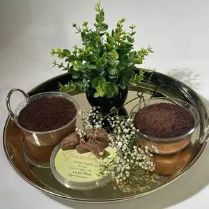 Chocolate Greek Yogurt - 11308