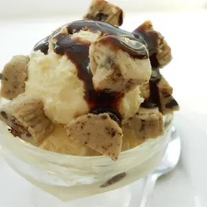 Cookie Dough + Vanilla Ice Cream