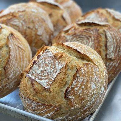 Sourdough Bread 
