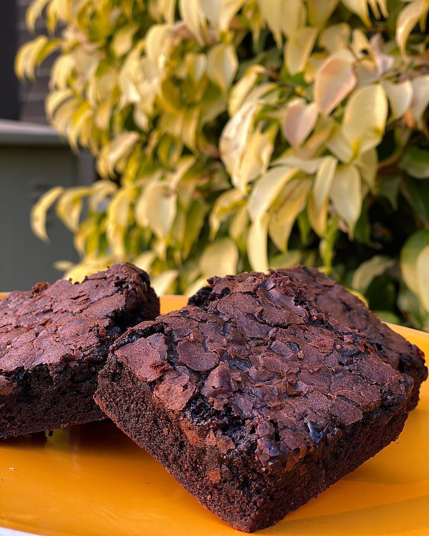 Triple Chocolate Brownies